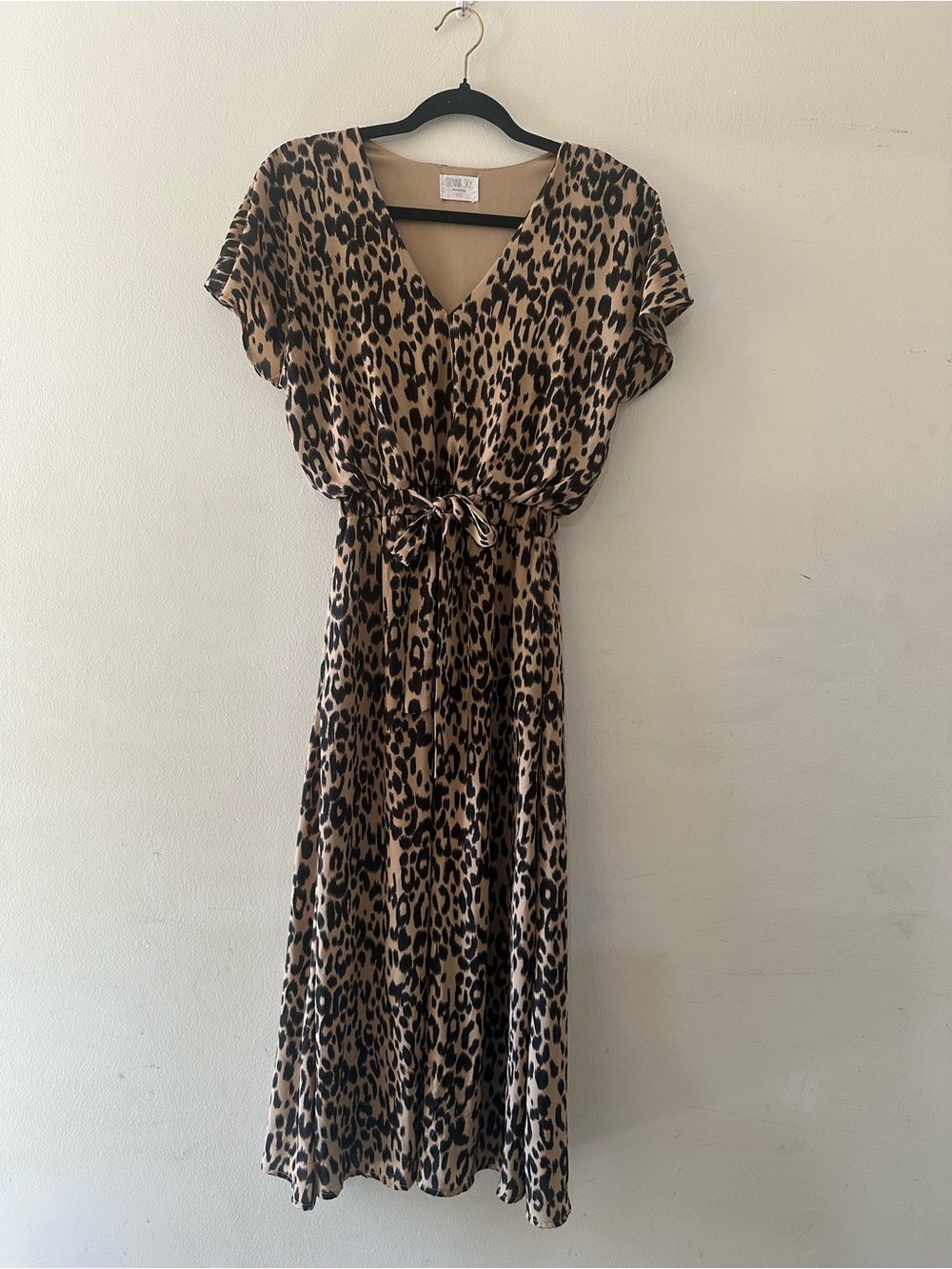 Sienna Sky Leopard Print V-Neck Maxi Dress in Tan and Black